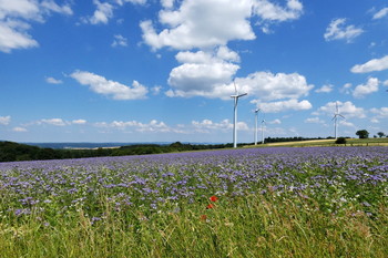 &nbsp; / im Weserbergland, Windpark bei Höxter - Bosseborn