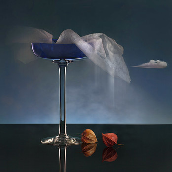 физалис / на тему осени