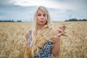 С пшеницей / Проект "Пшеничное поле"