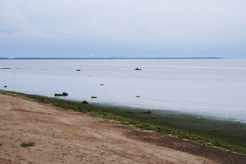 Летом у залива / ***