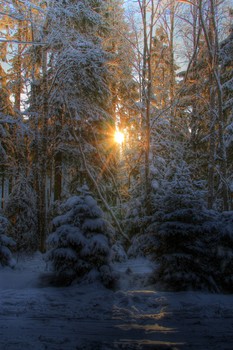 Отблеск на снегу / Солнце