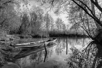 &nbsp; / Fischerboot an der Donau