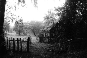 Домик окнами в сад . / Хмурое августовское утро.