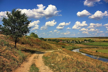 Спуск к реке. / Пейзаж