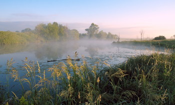 Озеро Омут. / Летнее утро на озере.Юго-восток Московской области.