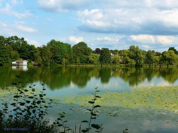 Außenmühlenteich Hamburg / Альбом «Пейзаж»: http://fotokto.ru/id156888/photo?album=76852
Альбом «Свет, солнце, небо, радуга, облака, луна»: http://fotokto.ru/id156888/photo?album=61877 Альбом «Мир отражений»: http://fotokto.ru/id156888/photo?album=59861