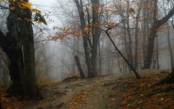 Горными тропами........ / Железноводск. Октябрь