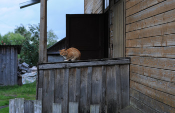 Хозяин) / Котик, Пошехонский двор