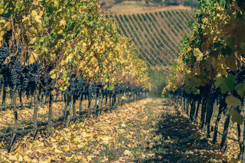 ((( / [img]https://i.imgur.com/urhE833.jpg[/img]