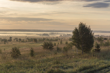 Утро туманное. / Раннее летнее утро, в долине еще не рассеялся туман.