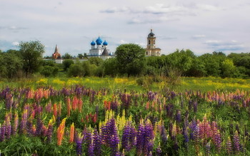 пейзаж с люпинами / город Серпухов. Высоцкий монастырь