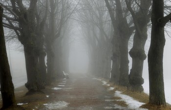 Последний снег...... / Петергоф. Красный пруд. Март