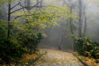 В старом парке........ / Железноводск. Октябрь