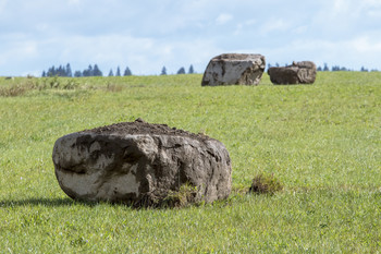 Поле камней... / ***