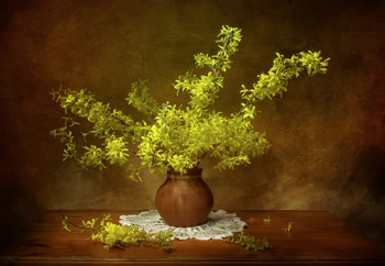 Форзиция... / Форзиция...