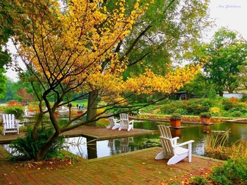 Planten un Blomen Hamburg / Парк цветов и деревьев в Гамбурге (Planten un Blomen Hamburg) радует своей красотой жителей города и туристов с ранней весны до поздней осени. Основан в 1930 году. На открытой сцене можно увидеть выступление музыкальных групп Гамбурга или гостей города. На территории парка несколько кафе, где можно купить мороженое, напитки и кофе. С мая по сентябрь каждый вечер в парке проходит яркое шоу музыкальных фонтанов. Вход бесплатный.