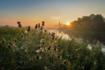 Оранжевый рассвет / с.Дунилово, Ивановская область