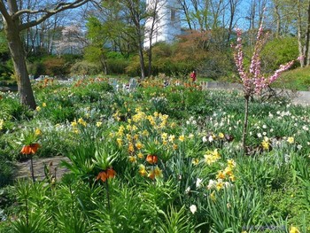 Planten un Blomen Hamburg / Парк цветов и деревьев в Гамбурге (Planten un Blomen Hamburg) радует своей красотой жителей города и туристов с ранней весны до поздней осени. Основан в 1930 году. На открытой сцене можно увидеть выступление музыкальных групп Гамбурга или гостей города. На территории парка несколько кафе, где можно купить мороженое, напитки и кофе. С мая по сентябрь каждый вечер в парке проходит яркое шоу музыкальных фонтанов. Вход бесплатный. Моё слайд-шоу о парке на Ютубе: https://www.youtube.com/watch?v=NMV5MM0ickI
https://www.youtube.com/watch?v=kJVKlWcQxCg
https://www.youtube.com/channel/UCEOp3amNaNT0205lPmdFi8w/videos?view=0&amp;sort=dd&amp;shelf_id=1