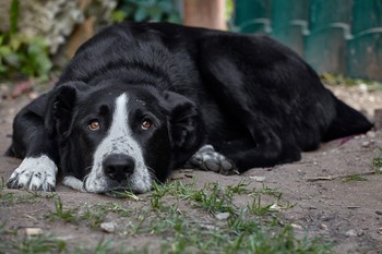 Вот и кончилось лето( / Крайний день на даче.