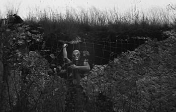 &nbsp; / KODAK T-MAX 400 135-36