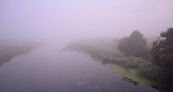 Заблудилась река в тумане / ***