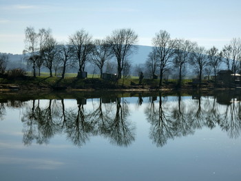 &nbsp; / windstilles Wetter im Februar brachten diese Spiegelung der Baumreihe.