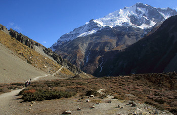 Тиличо Бэйс Кэмп / Непал. Гималаи
