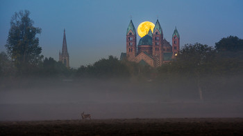 &nbsp; / Ausversehen wurde ich zum Tierfotografen. Eigentlich plante ich den Monduntergang hinter dem Speyer Dom zu fotografiern, als plötzlich zwei Rehe in Bild kamen. Das erste Foto hatte ich noch versaut, da ich aus der Hand fotografiert hatte. Jedoch gelang mir noch ein Stativfoto bevor die Rehe im Nebel verschwanden.