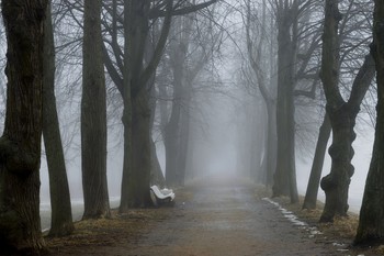 В тумане весеннем / Петергоф. Красный пруд. Март