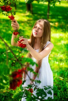 Ветка рябины / модель Юлиана Смирнова
