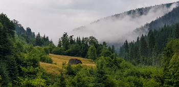 Рассвет в Карпатах / Карпаты