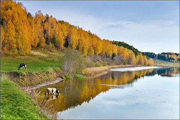 Водные процедуры / Водные процедуры