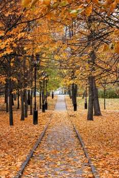 Осенний парк... / ***