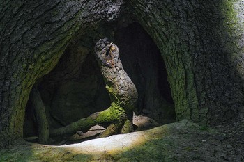 &nbsp; / Это МОЙ дом!