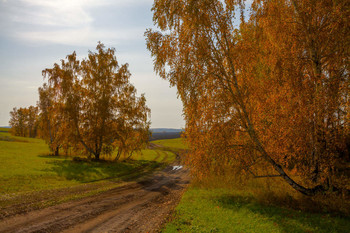 осенний тёплый день / ***