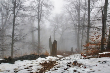 На склонах зимнего Чатыр-Дага / Крым. Декабрь