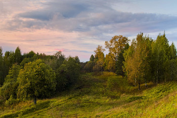 Солнечная просека / Осенние закаты.