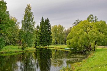 Вечер. / Павловск.парк.речка.