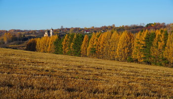 Осенние краски. / Осень в с. Детково.