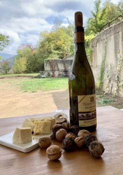 &nbsp; / Природа