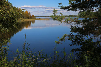 Озеро Боровно / Новгородская область, Валдай.