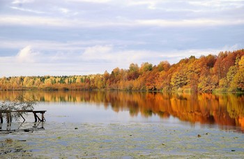 Восторг безудержный пленит... / Осенних красок отраженья,
Восторг безудержный пленит...
Листва искрОю в преломленьи
Огнём закатным лес багрит...
Феерия мазков пастели,
Узоров чудных карнавал...
Взяв у природы акварели,
Художник кистью рисовал...
В зеркальном водном отраженьи
Фантасмагории обман...
Взмах мысли, ровное скольженье,
Безмолвный, тихий океан...
Слились два неба зеркалами,
Иллюзий бесконечных даль...
Соприкоснувшись с облаками,
На соснах зеленеет шаль...
Светлана Керимова