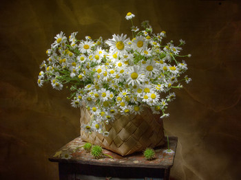 Ромашки.... / Ромвшки....