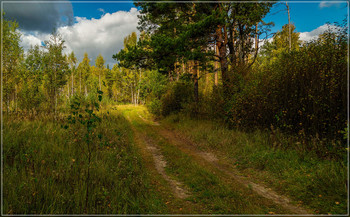 Признаки осени / Осень, осень, осень...