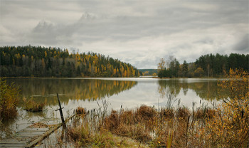 Признаки осени / ***