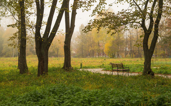 В утреннем парке / ***