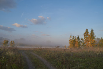 Осень / осень,дорога,туман