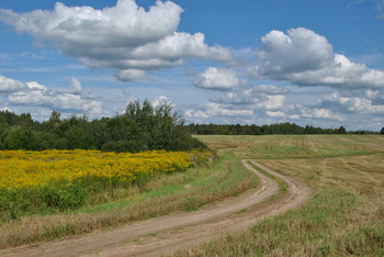 &nbsp; / Когда цвёл золотарник