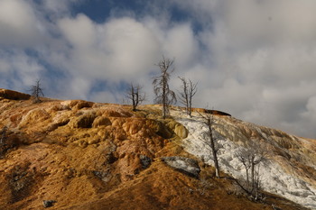 Мамонтовы горячие источники / Йеллоустонский национальный парк