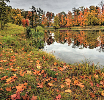 Осень / Царское Село